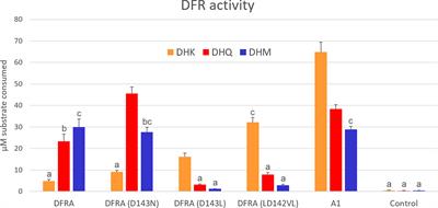 Petunia dihydroflavonol 4-reductase is only a few amino acids away from producing orange pelargonidin-based anthocyanins